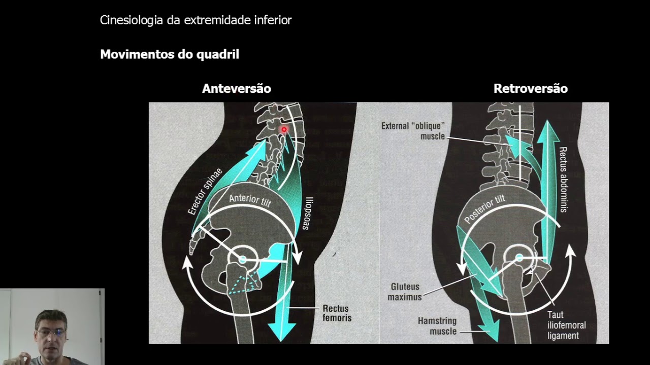 Cinesiologia do membro inferior - Prof. Túlio Banja