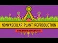 The Reproductive Lives Of Nonvascular Plants Alternation Of Generations Crash Course Biology 36