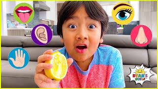 The Five Senses and more 1 hr kids educational lea