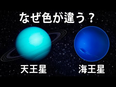 ネプチューンの雰囲気