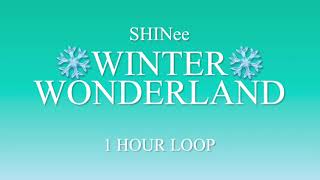 샤이니/SHINee Winter Wonderland (1hour loop)