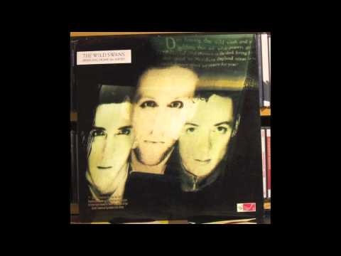 Wild Swans - Bible Dreams