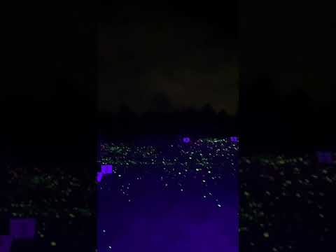 glow in the dark skeet