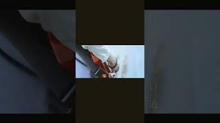 【#又三郎】【#ヨルシカ】【#shorts】【#永久機関】プロフよりYouTube fullへ飛べます！  #ヨルシカ  #初音ミク #anime #キタニタツヤ　 #盗作再演　 #盗作live