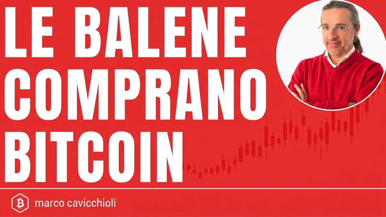 Attenzione a Bitcoin: le balene tornano a comprare