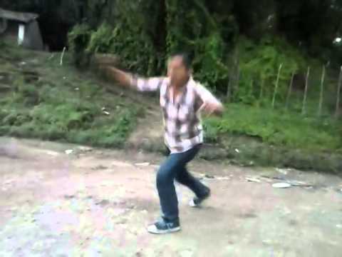 El baile de chinche