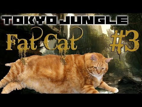 Tokyo Jungle - Fat Cat Survival Part 3