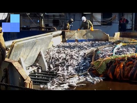Amazing Net Fishing Under Ice Catch Hundreds Tons of Big Fish ||  Top fishing skills