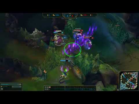 Veteran Silvers Dynamic duo ALMOST 2V4 Velkoz Tahm Kench