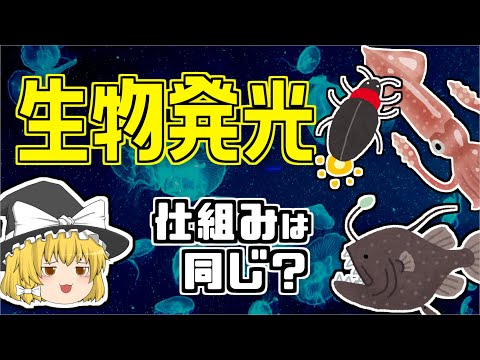 IUCN分類における絶滅の危険性を示す図。