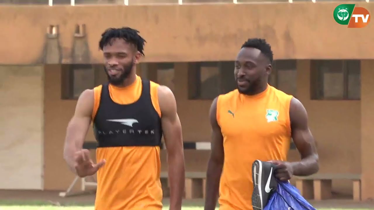 Niger-Côte d’Ivoire : Une dernière séance d'entrainement des Éléphants