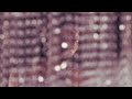 KASHISH The Mirror Official Visualizer