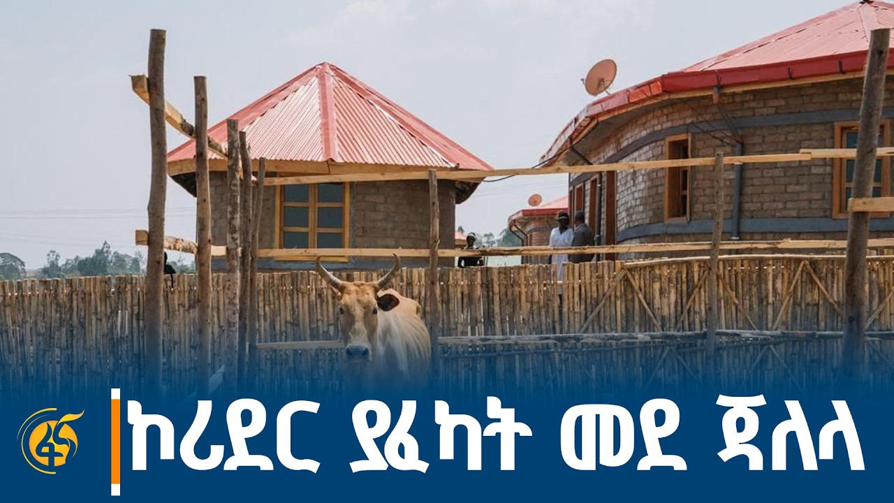 በገጠር ኮሪደር እየፈካች የምትገኘው የምስራቅ ወለጋዋ የመደ ጃለላ ቀበሌ