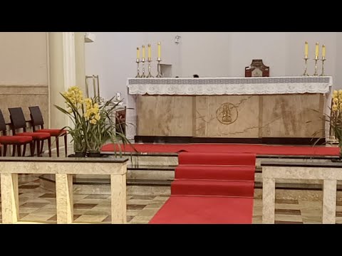 Solenidade Da Assunção De Nossa Senhora