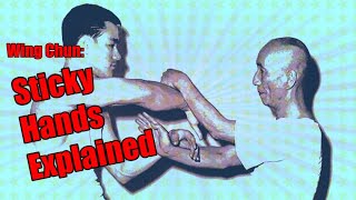 Why Wing Chun CANNOT Handle Boxers or Wrestlers - You MUST Understand Chi Sau