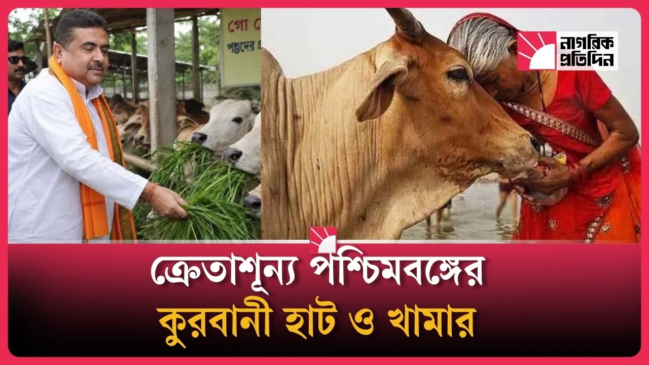 কোরবানির আগে বিপাকে পশ্চিমবঙ্গের খামারিরা