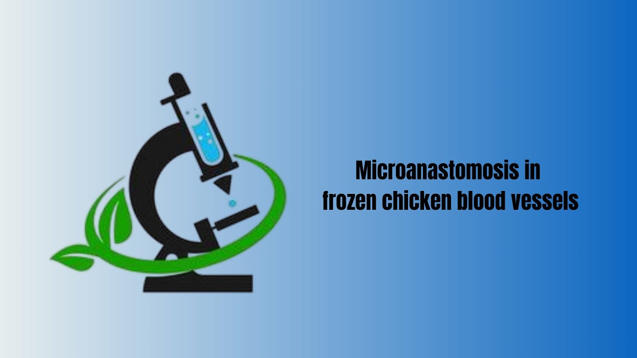 David Tafur Muñoz-2500