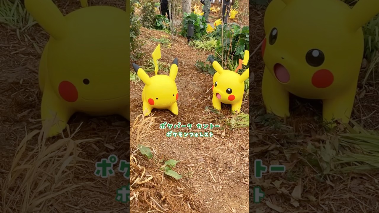 【#ポケパーク/#Vlog】ポケパークレポ②ポケモンフォレスト【ねくすとぴあ/翠匣タルタ】#shorts #pokepark