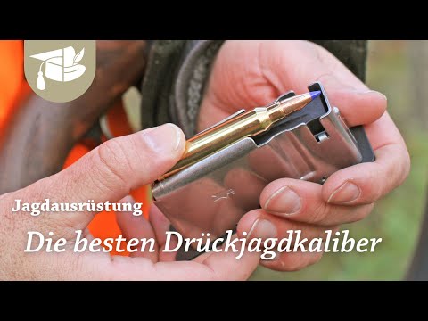 Drückjagdkaliber | Mit diesen Patronen seid ihr gut gerüstet | Bewegungsjagd | Munition | Jagd