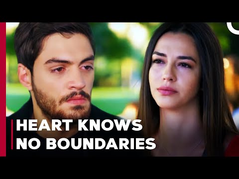 Difficult Path To Love... - Can't Stop Loving You