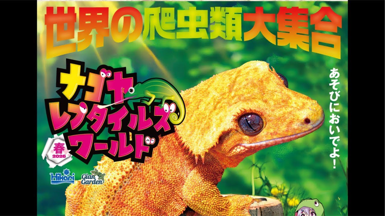 生き物ダラダラトーク141 ナゴヤレプタイルズ告知