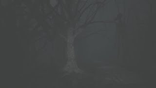 Siren Head (Free PC Game)