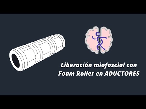 AUTOMASAJE con Foam Roller en ADUCTORES