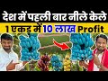 India मे पहली बार Blue Banana Farming🔵🍌100Rs/Kg Market | Indian Farmer