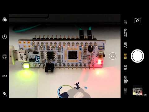 Zephyr Project RTOS Tutorial (10) 教學 : ARM GDB debug - OpenOCD HW STM32 ST-Link on Linux