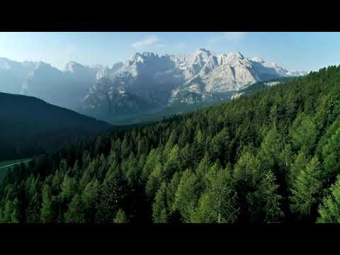 03. Fjala 'bismilah' është perde mes njeriut dhe xhinit - Hoxhë Sadullah Bajrami