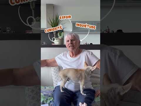 Episode 3 : Écouter le ressenti du senior