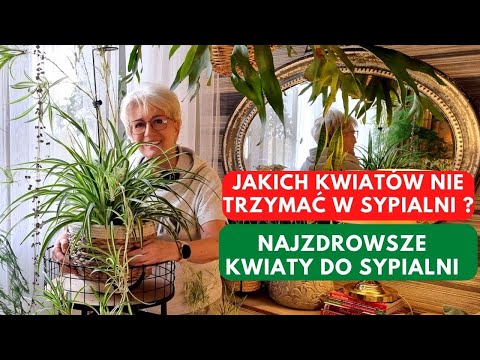 , title : 'CZY ROŚLINY ZABIERAJĄ TLEN W SYPIALNI? JAKIE KWIATY DO SYPIALNI? [322}'