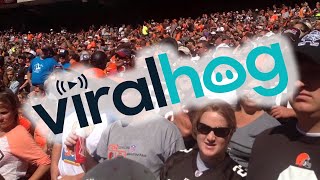 Ravens fan angers Browns fans || ViralHog