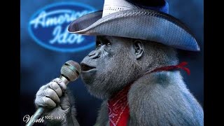 ABBA - &quot;King Kong Song&quot;