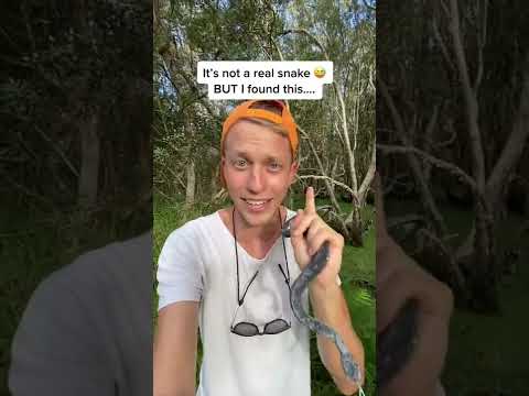 Searching for SNAKES in Australia #shorts