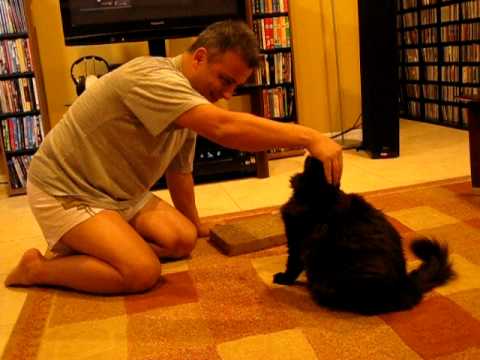 Pupu exercise 09 25 2011