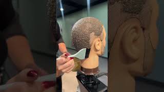 Chia pet mannequin head #beautyschool  #hairtransformation #cosmetology #hairschool #chiaseeds