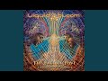 The Face Of Love A Guided Spirit Journey