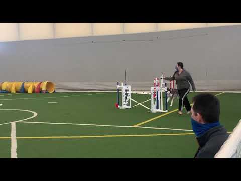 Enda XF #1, 1st Place