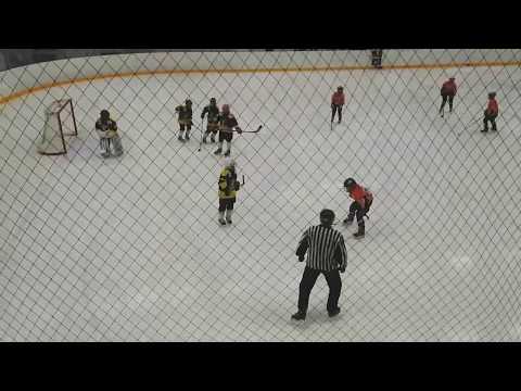 Pingviinit Kuninkaat - HC Nokia Valkoiset AA