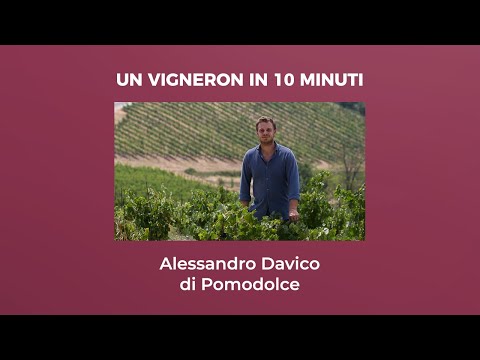 Un Vigneron in 10 Minuti - Alessandro Davico di Pomodolce