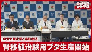 【詳報】腎移植治験用ブタ生産開始 明治大発企業と実施病院