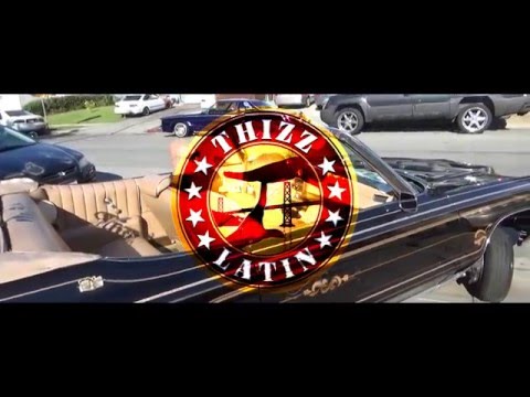 Goldtoes Presents - AMONEY