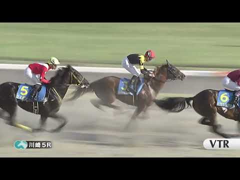 川崎競馬ダイジェスト（2025年8月8日）