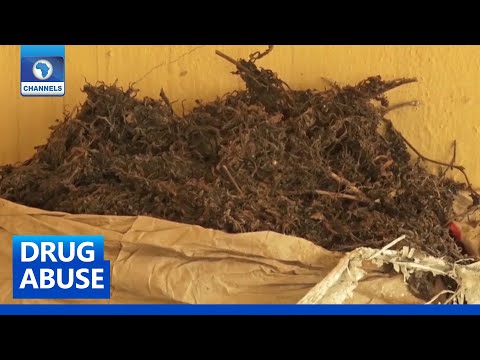 Psychiatrists Warn Against Legalizing Cannabis Use