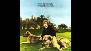 Van Morrison - You Don't Pull No Punches, But You Don't Push The River