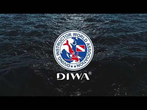 DIWA Neutral Buoyancy Fin Pivot