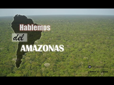 EL AMAZONAS necesita tu AYUDA 🌎 2019