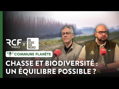 Chasse : comment concilier passion cynégétique et préservation des oiseaux migrateurs ?