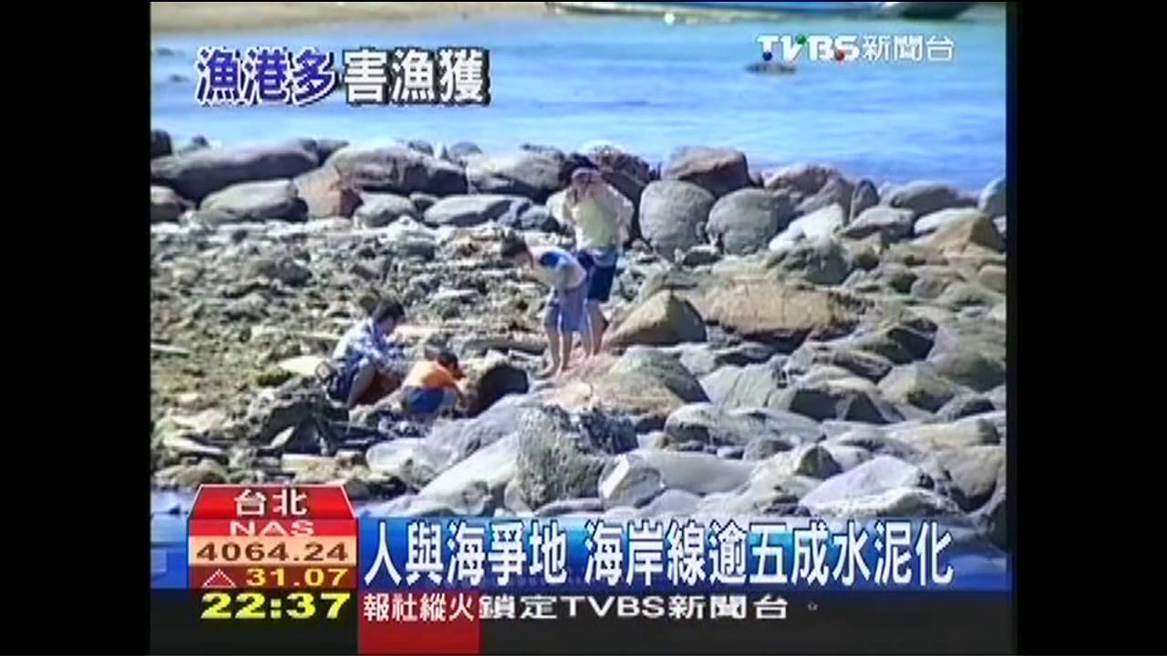 台灣海岸線水泥化 重創海陸生態